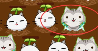 《叫我猫主子》蠃鱼喵解析